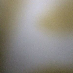 Meet your Posher, Rica